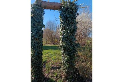 Mobilheim auf wunderschönem Grund zu vermieten, S-Bahn Nähe - Gerolsbach
