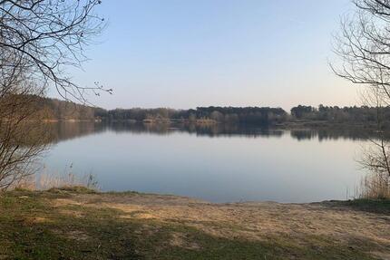 Wohnung 4,5-Zimmer - 115 m² Garten,Kamin, Loggia - Homeoffice - Bad Laer