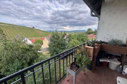 Wohnung zum Mieten in Geisenheim 1.120,00 € 81 m²