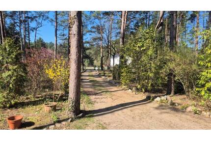 Hauptstadtmakler-Traumhaftes Grundstück in Top Lage - Beelitz / Fichtenwalde