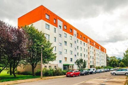 renovierte 3-Raumwohnung in Schönwalde 2 - Greifswald Groß Schönwalde